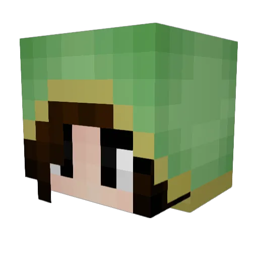 Turtle823 Minecraft avatar head, 3D render