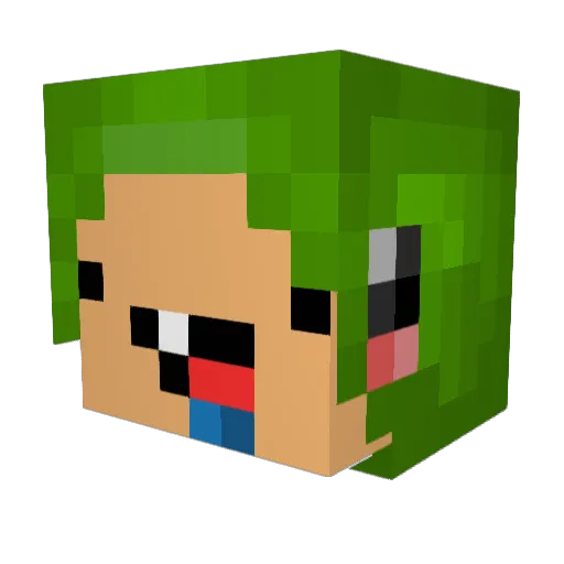 TurtleAlt Minecraft avatar head, 3D render