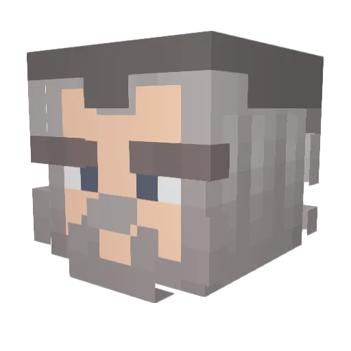 TurtleBear31415 Minecraft avatar head, 3D render