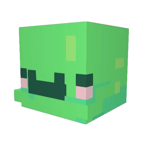 TurtleBlocks357 Minecraft avatar head, 3D render