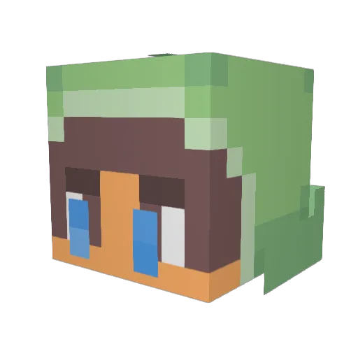 TurtleBoy0618 Minecraft avatar head, 3D render
