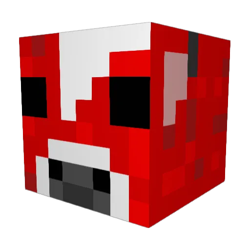 TurtleBoy582 Minecraft avatar head, 3D render