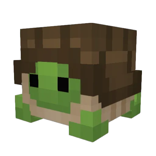 TurtleBrotha Minecraft avatar head, 3D render
