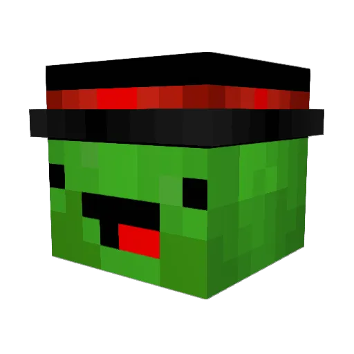 TurtleDudes38 Minecraft avatar head, 3D render