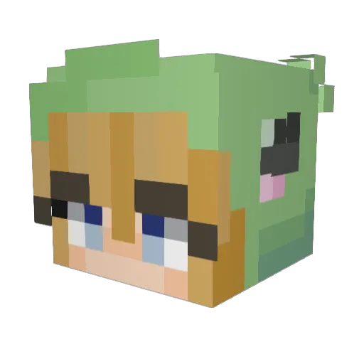 TurtleGirlsoccer Minecraft avatar head, 3D render