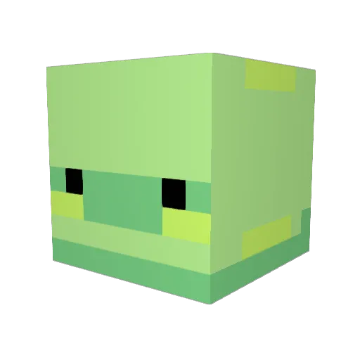 TurtleGuy2013 Minecraft avatar head, 3D render