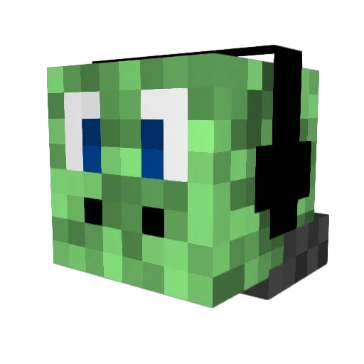 TurtleGuy3181 Minecraft avatar head, 3D render