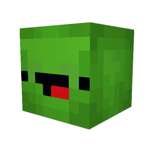 TurtleHermit50 Minecraft avatar head, 3D render