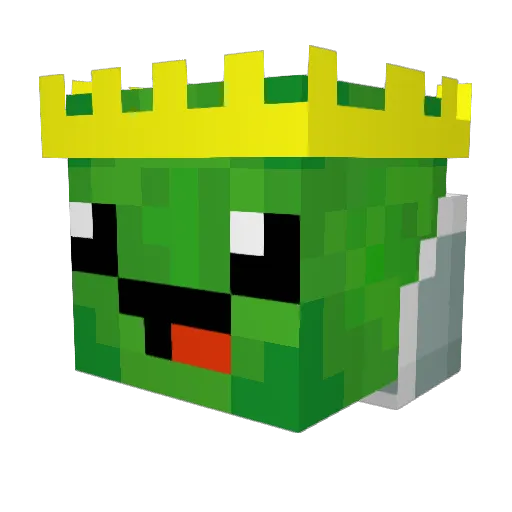 TurtleHero55 Minecraft avatar head, 3D render