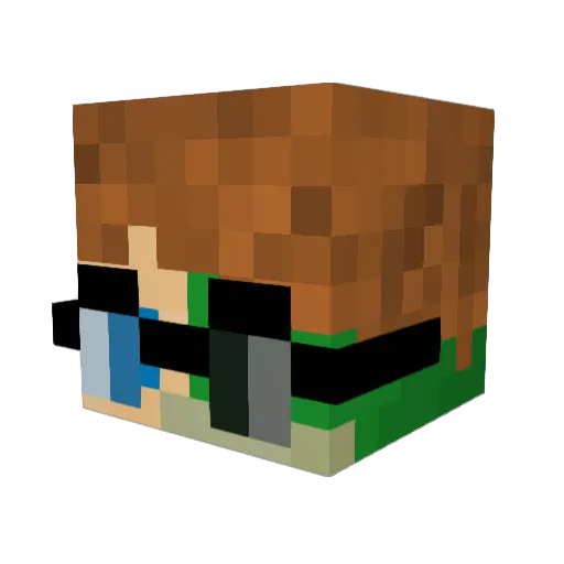 TurtleInTank Minecraft avatar head, 3D render
