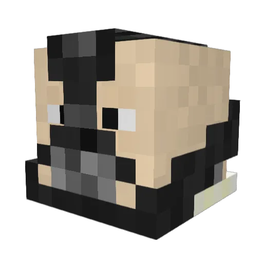 TurtleInc27 Minecraft avatar head, 3D render