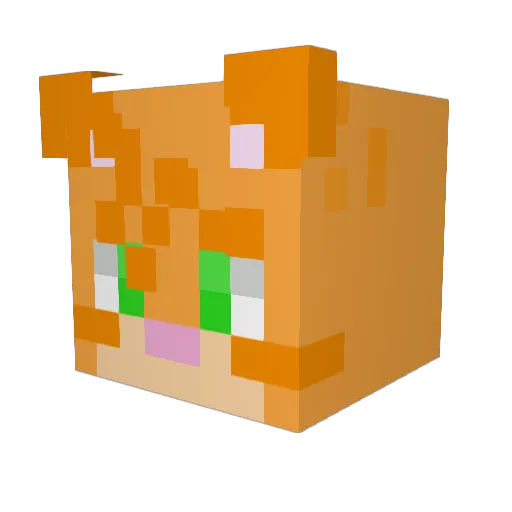 TurtleIsCool Minecraft avatar head, 3D render