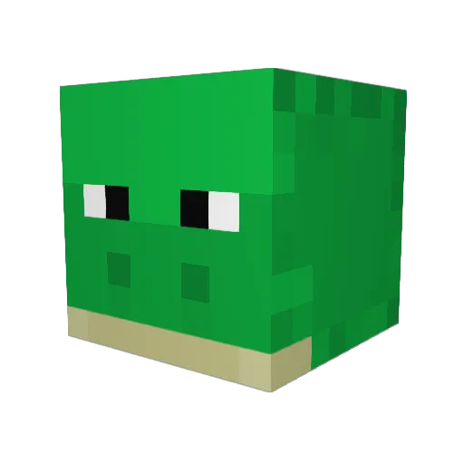 TurtleKid Minecraft avatar head, 3D render
