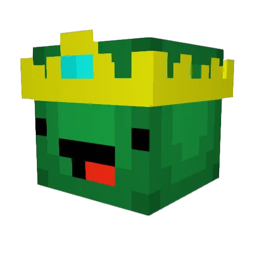 TurtleKing110 Minecraft avatar head, 3D render