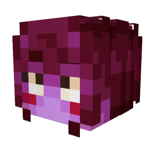 TurtleLord08 Minecraft avatar head, 3D render