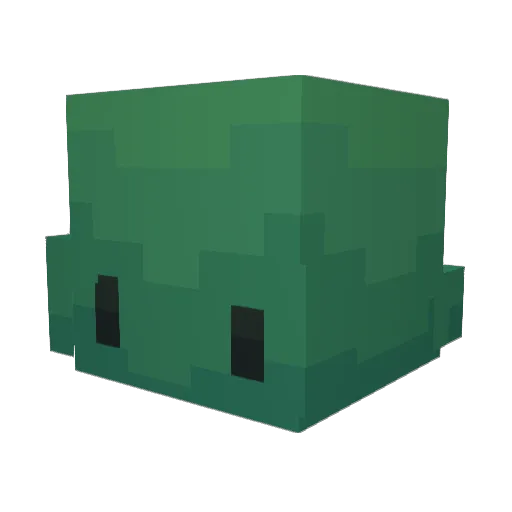 TurtleLordQC Minecraft avatar head, 3D render