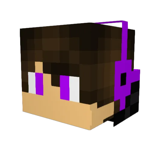 TurtleMan2242 Minecraft avatar head, 3D render