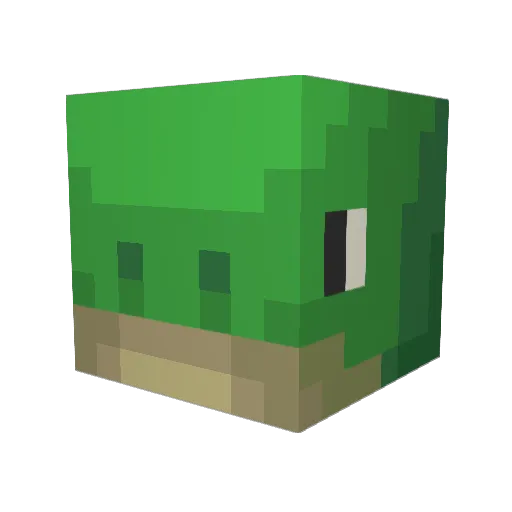 TurtleManYesIAm Minecraft avatar head, 3D render