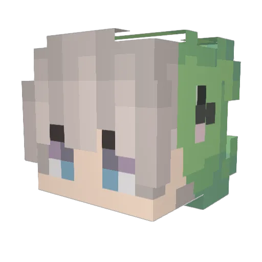 TurtleMan_PT Minecraft avatar head, 3D render