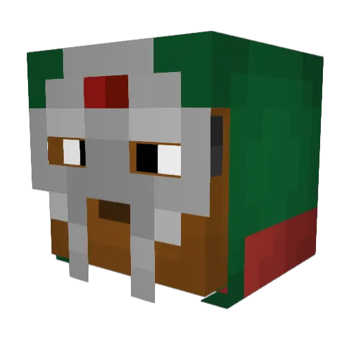 TurtleNeck20 Minecraft avatar head, 3D render