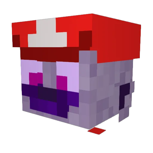 TurtleShadow37 Minecraft avatar head, 3D render