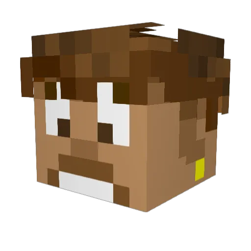 TurtleShell66 Minecraft avatar head, 3D render