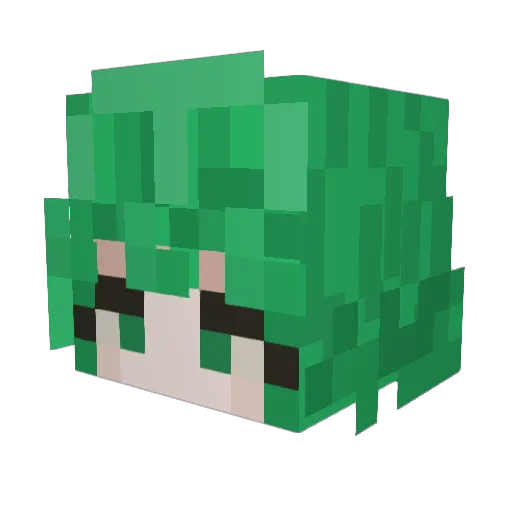 TurtleSlayer619 Minecraft avatar head, 3D render