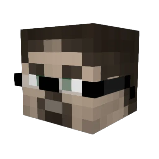 TurtleSquidBoy Minecraft avatar head, 3D render