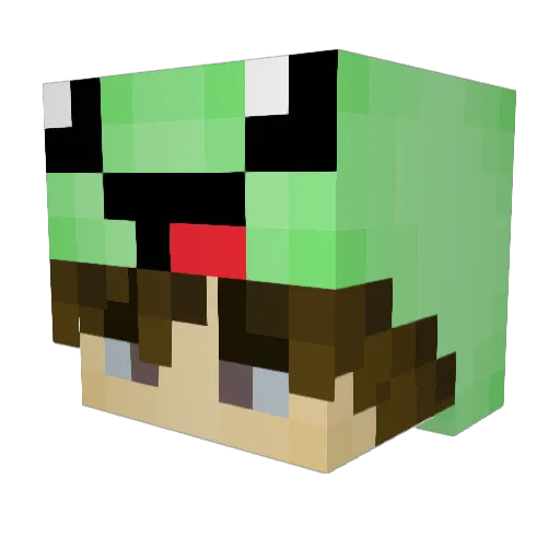 TurtleTech111 Minecraft avatar head, 3D render