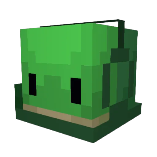 TurtleTheCorgi Minecraft avatar head, 3D render