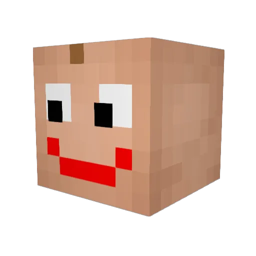 TurtleWarrior13 Minecraft avatar head, 3D render