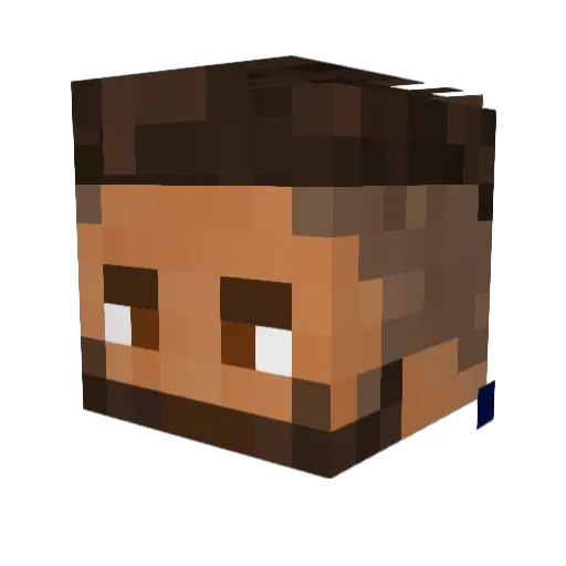 Turtle_07 Minecraft avatar head, 3D render