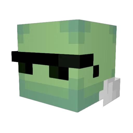 Turtle_14 Minecraft avatar head, 3D render