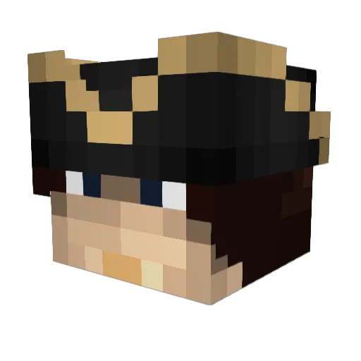 Turtle_Block Minecraft avatar head, 3D render