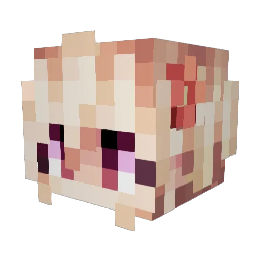 Turtle_Caleb Minecraft avatar head, 3D render