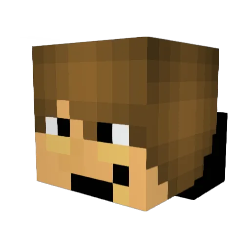 Turtle_DI Minecraft avatar head, 3D render