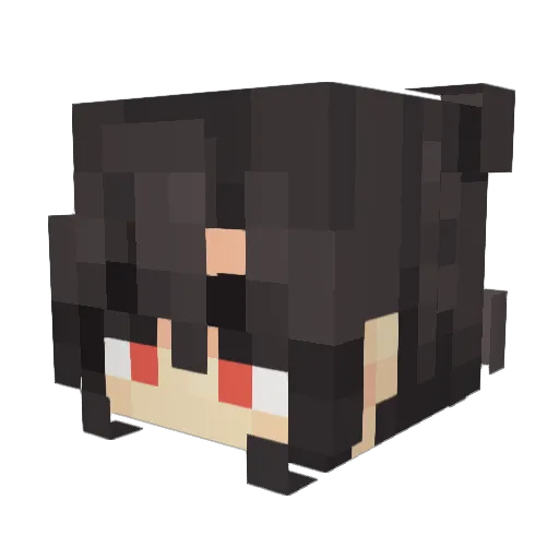 Turtle_Froggie Minecraft avatar head, 3D render