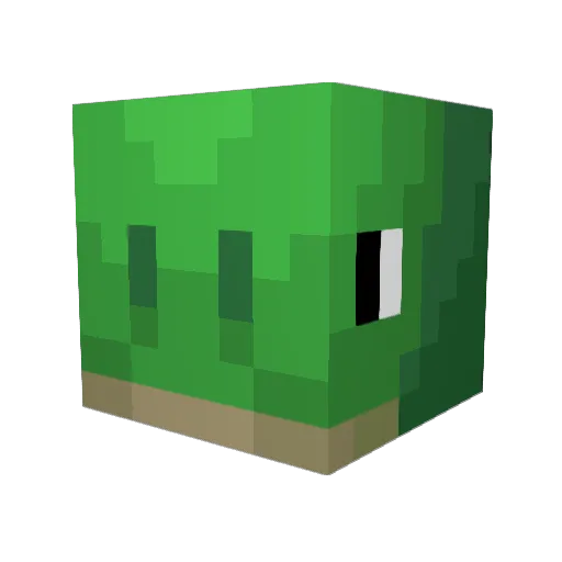 Turtle_Gara Minecraft avatar head, 3D render