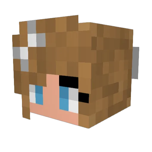 Turtle_Jess Minecraft avatar head, 3D render