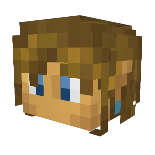 Turtle_Kai Minecraft avatar head, 3D render