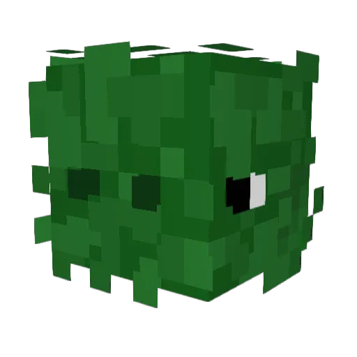 Turtle_Master2 Minecraft avatar head, 3D render