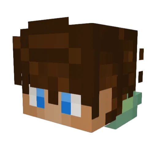 Turtle_PvPr Minecraft avatar head, 3D render