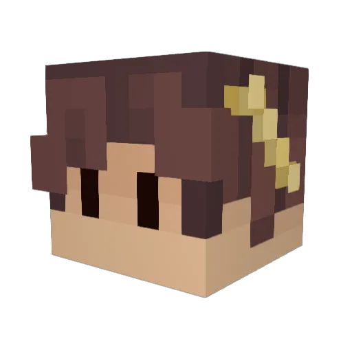 Turtle_mp3 Minecraft avatar head, 3D render