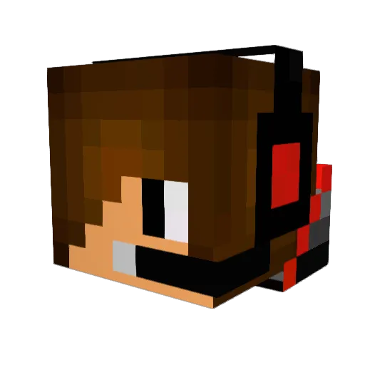 Turtle_pvp_o Minecraft avatar head, 3D render