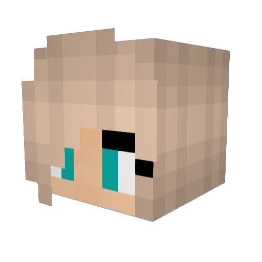 Turtlebaby Minecraft avatar head, 3D render