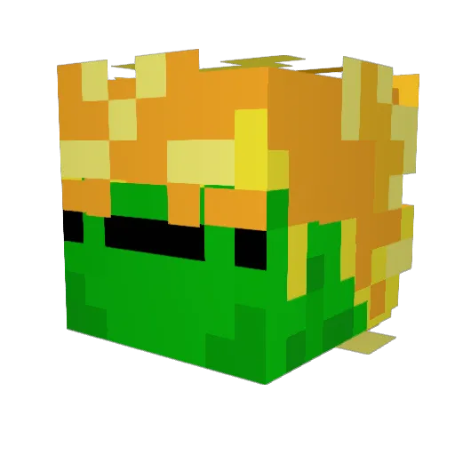 Turtleboy5792 Minecraft avatar head, 3D render
