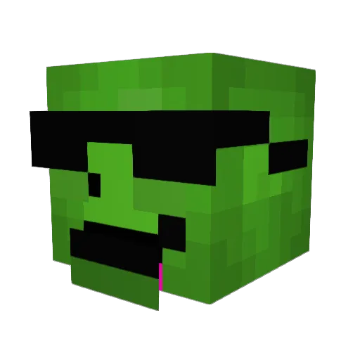 Turtleboy8388 Minecraft avatar head, 3D render