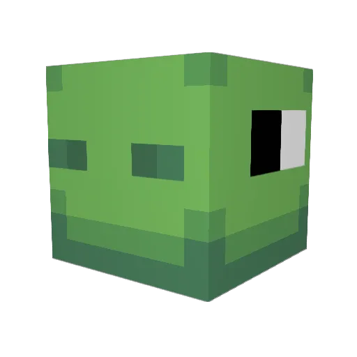 Turtleboy9309 Minecraft avatar head, 3D render