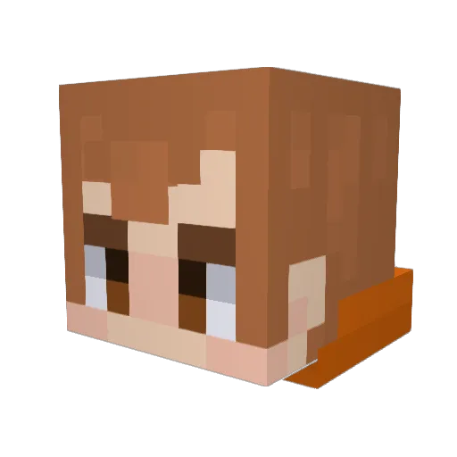 TurtleboyTNT07 Minecraft avatar head, 3D render