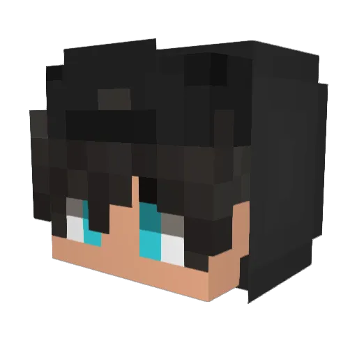 Turtleez Minecraft avatar head, 3D render